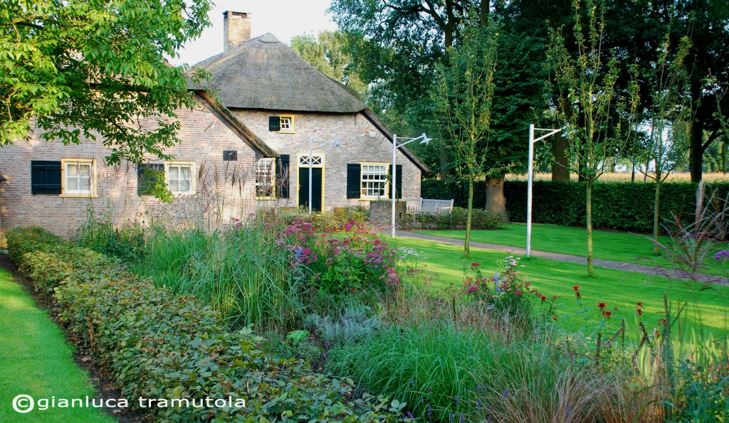 landscape design