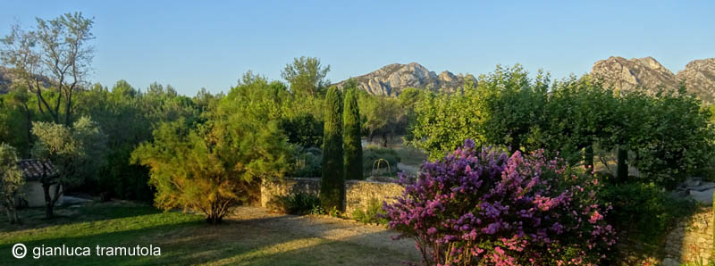 giardino provenza garden design mediterraneo