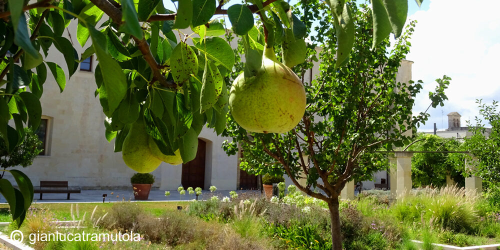 giardino ogni bene Lecce Gianluca Tramutola