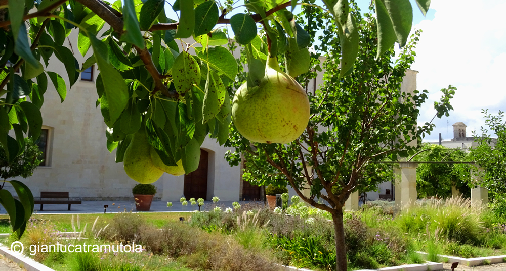 giardino ogni bene Lecce Gianluca Tramutola