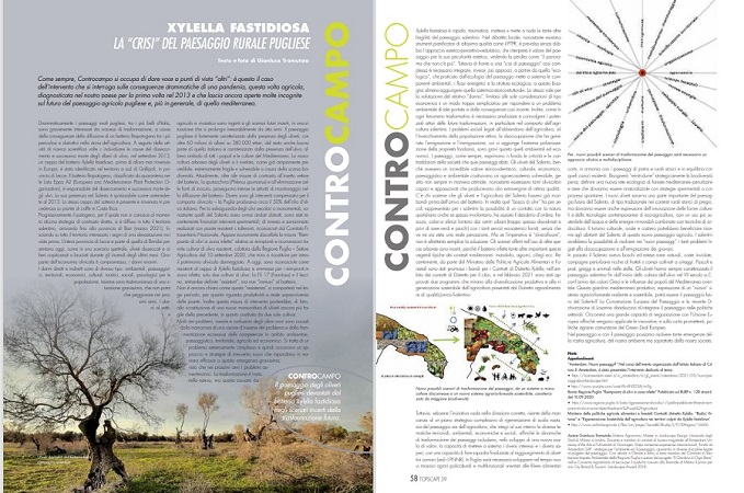 paesaggio identita` Salento Xylella fastidiosa Gianluca Tramutola