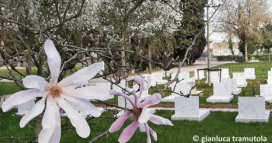 Giardino degli Angeli Treviso