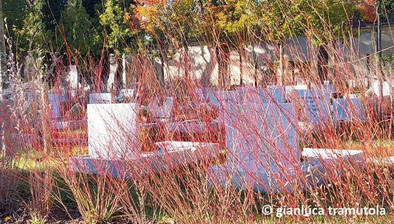 giardino angeli treviso