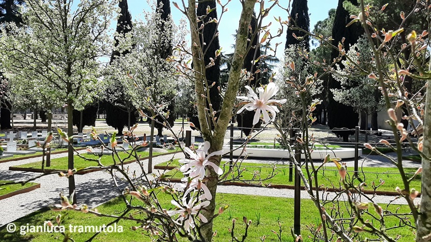 Giardino Angeli Treviso