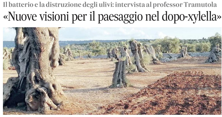 XYLELLA FASTIDIOSA PUGLIA